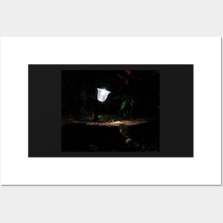 Garden Solar Light in the Dark Posters and Art